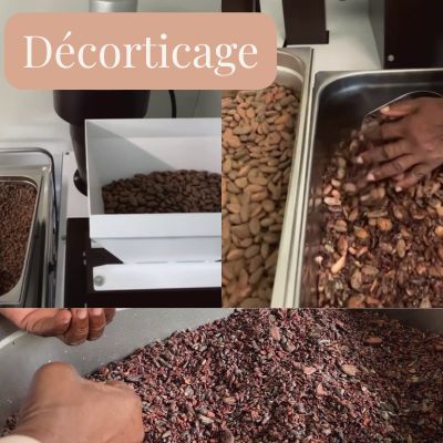 Décorticage fèves de cacao