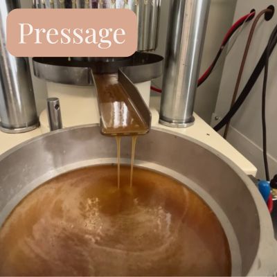 Pressage beurre de cacao