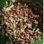 Cosses de cacao et brisée